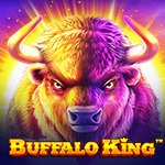 Buffalo King